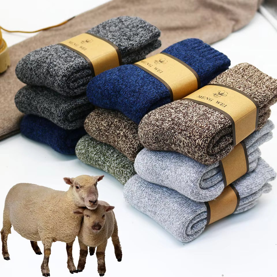 Winter Men's Merino Wool Socks (3-6 Pair)